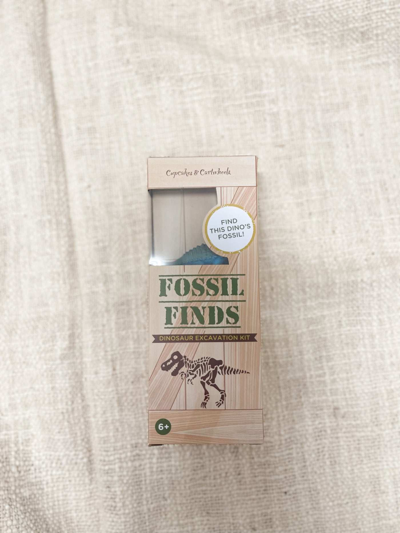 Dino Excavation Kit
