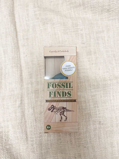 Dino Excavation Kit