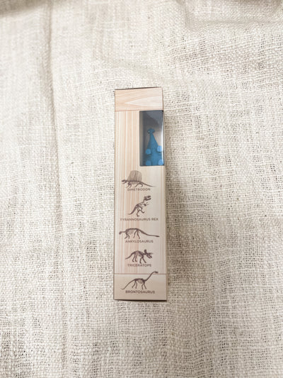 Dino Excavation Kit