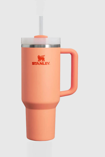 Stanley 40oz Quincher Tumbler H2.0