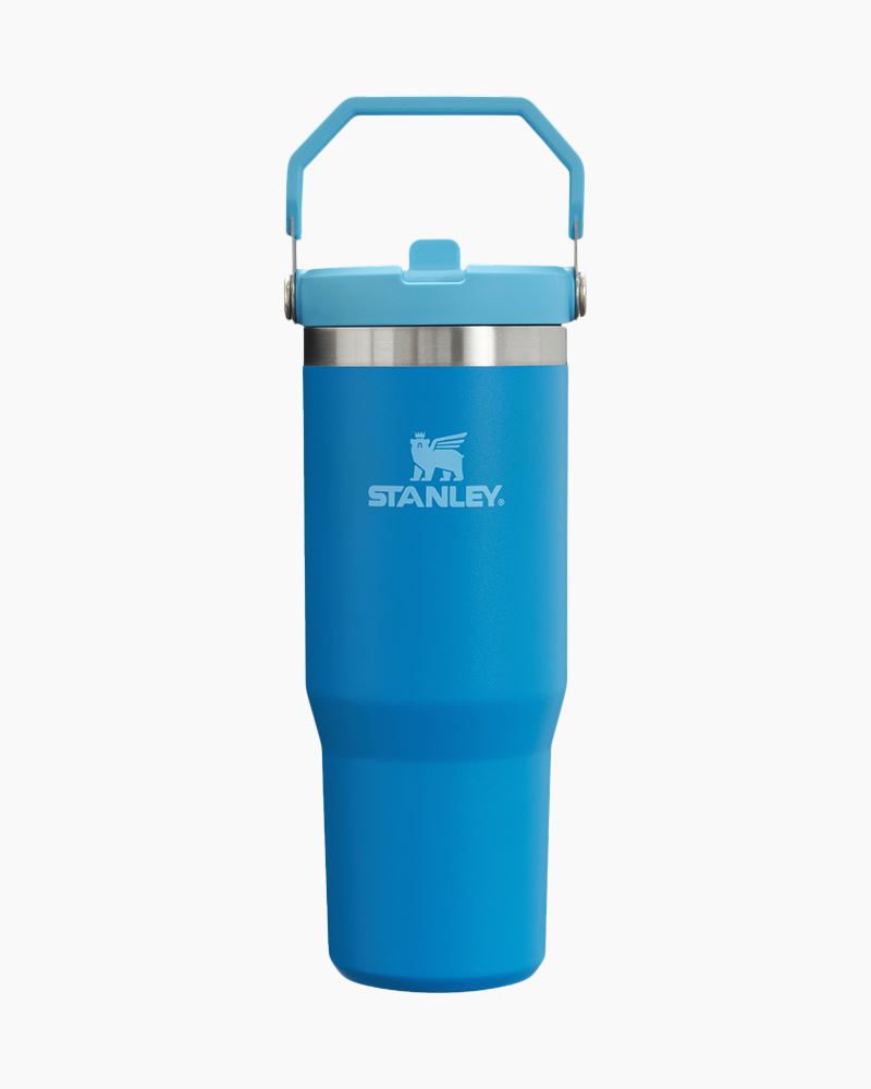 Stanley 30oz Classic Flip Straw Tumbler