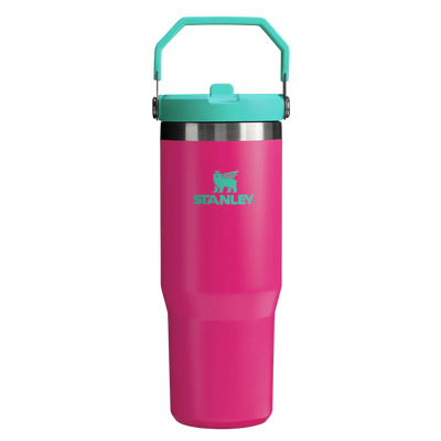 Stanley 30oz Classic Flip Straw Tumbler