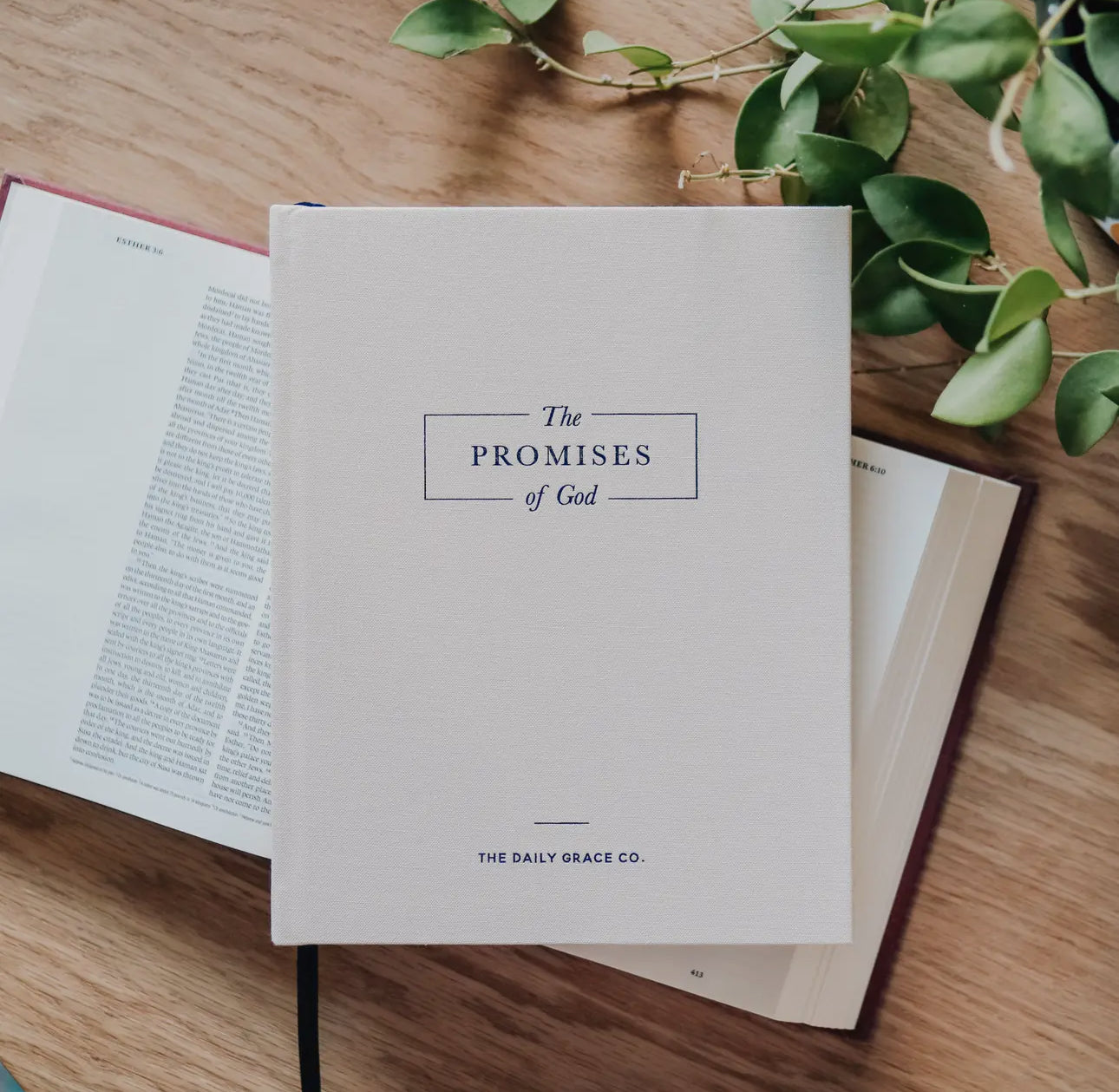 The Promises of God Devotional