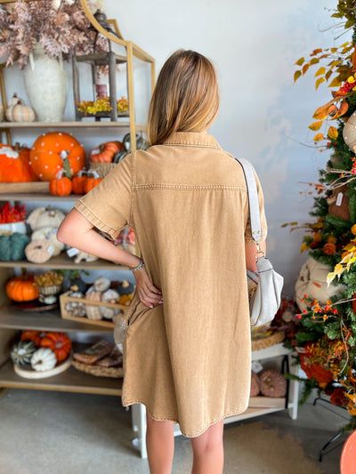 Isla Mocha Swing Dress