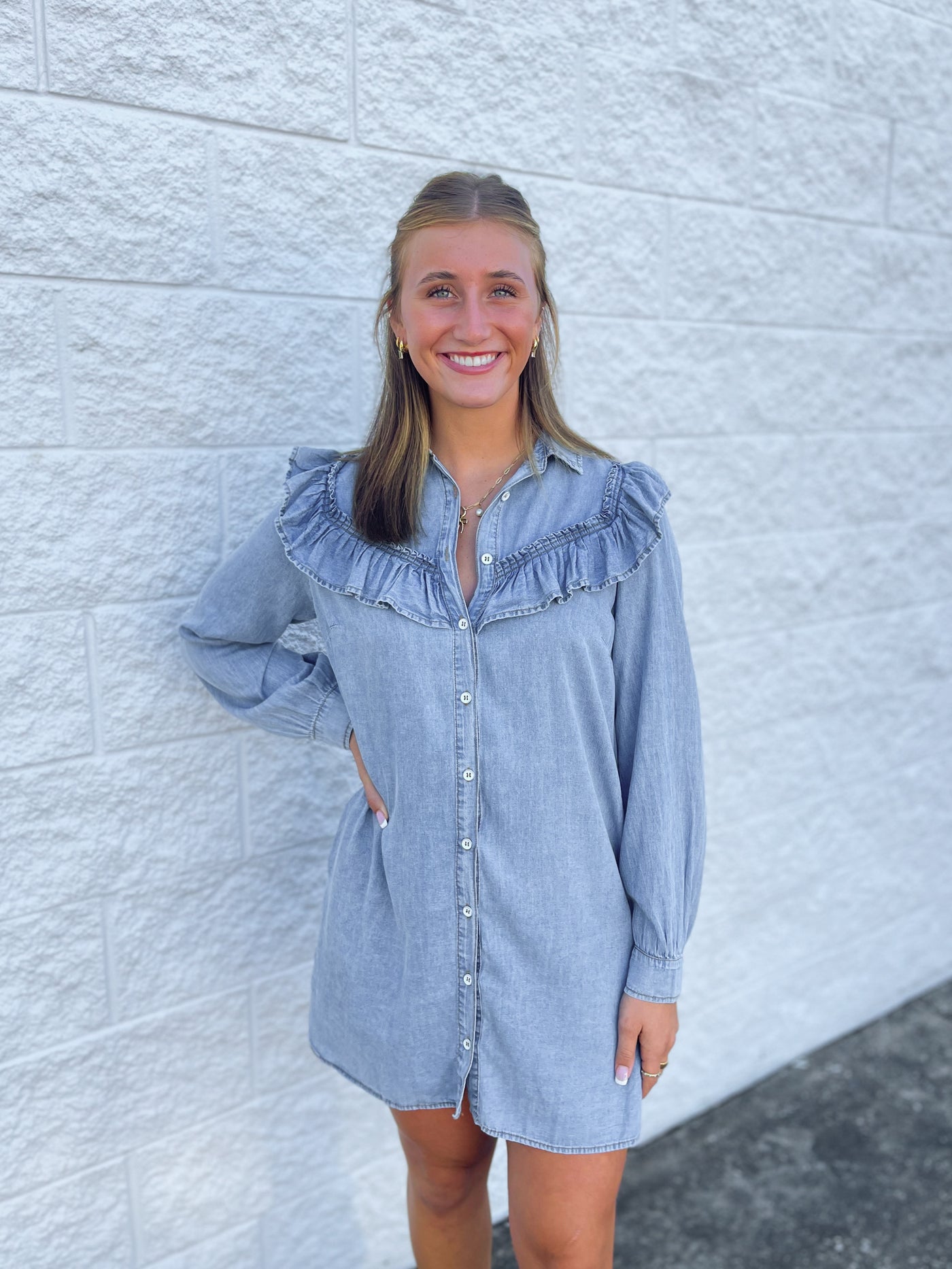 Denim Reagan Dress