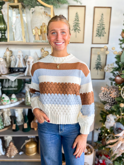 Pinch Blue Brown Moni Sweater