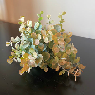 Eucalyptus Bundles