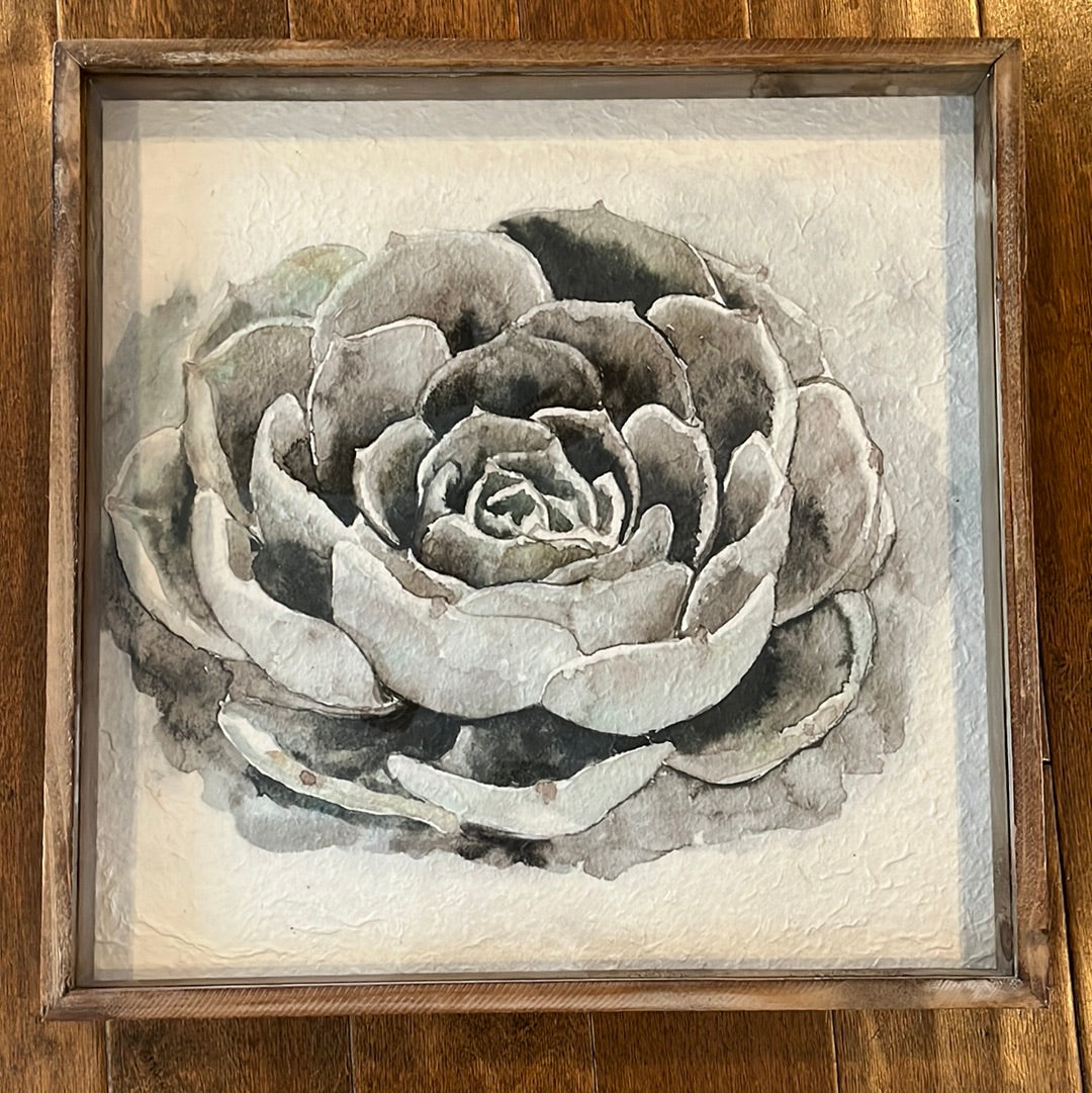 Succulent wall decor
