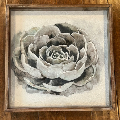 Succulent wall decor
