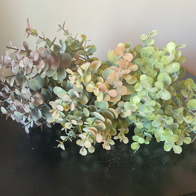 Eucalyptus Bundles