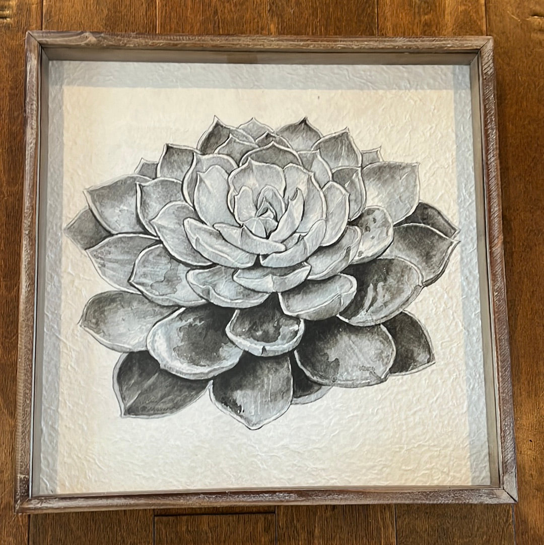 Succulent wall decor