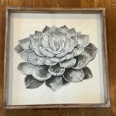 Succulent wall decor