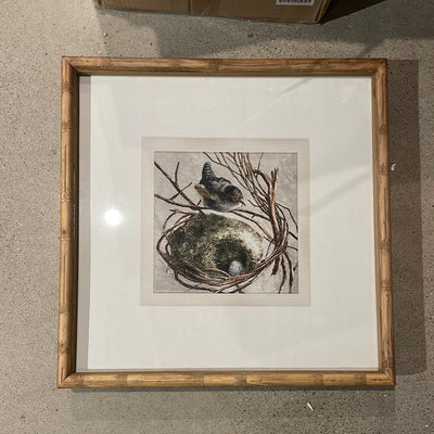 Wood Framed Bird Print