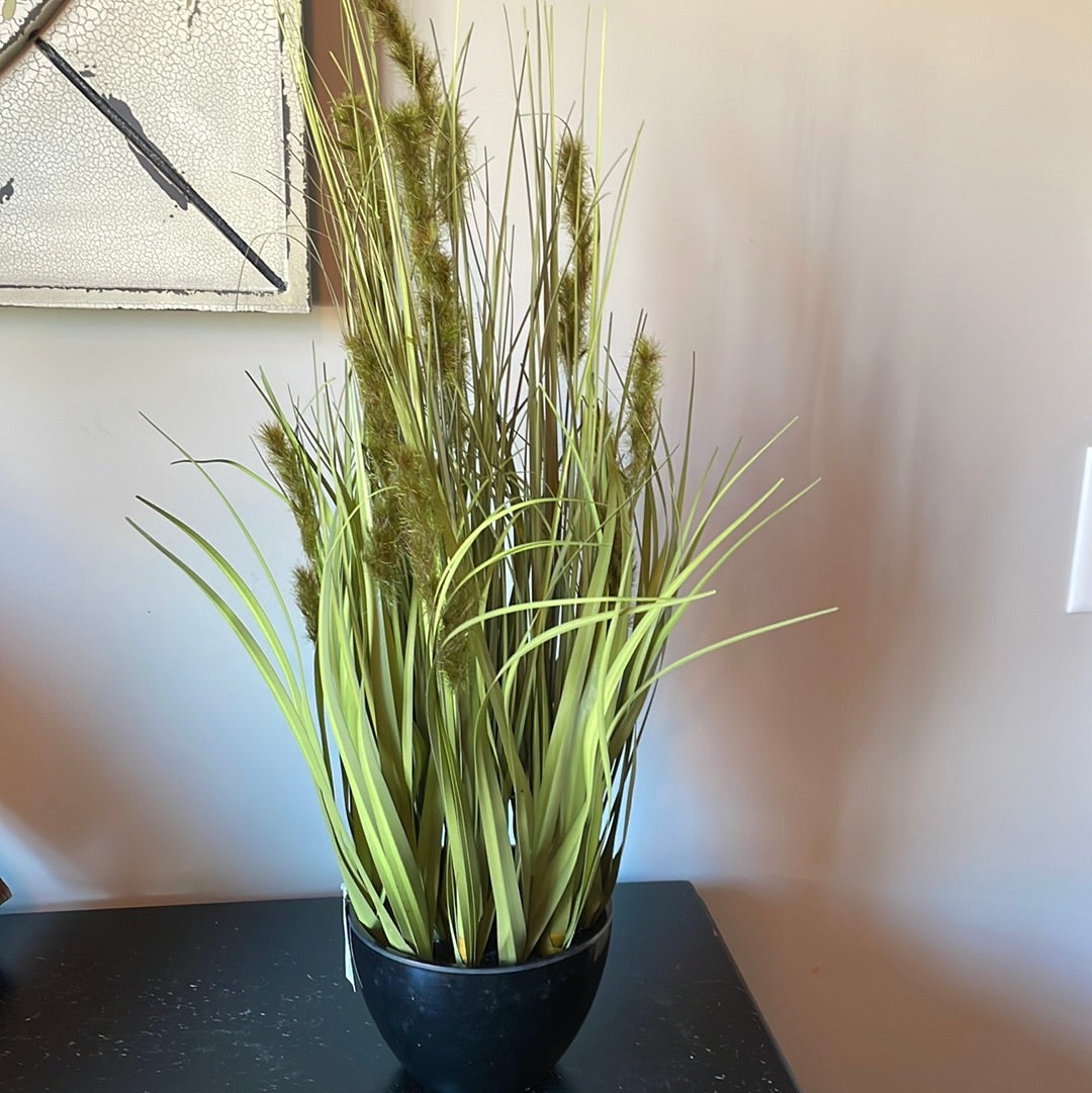 24” potted flock grass