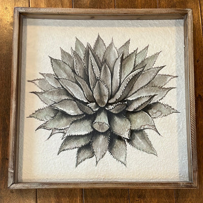 Succulent wall decor