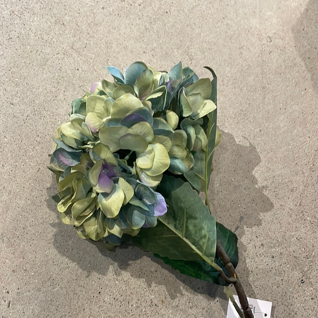 Green Hydrangea Bundle