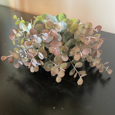 Eucalyptus Bundles