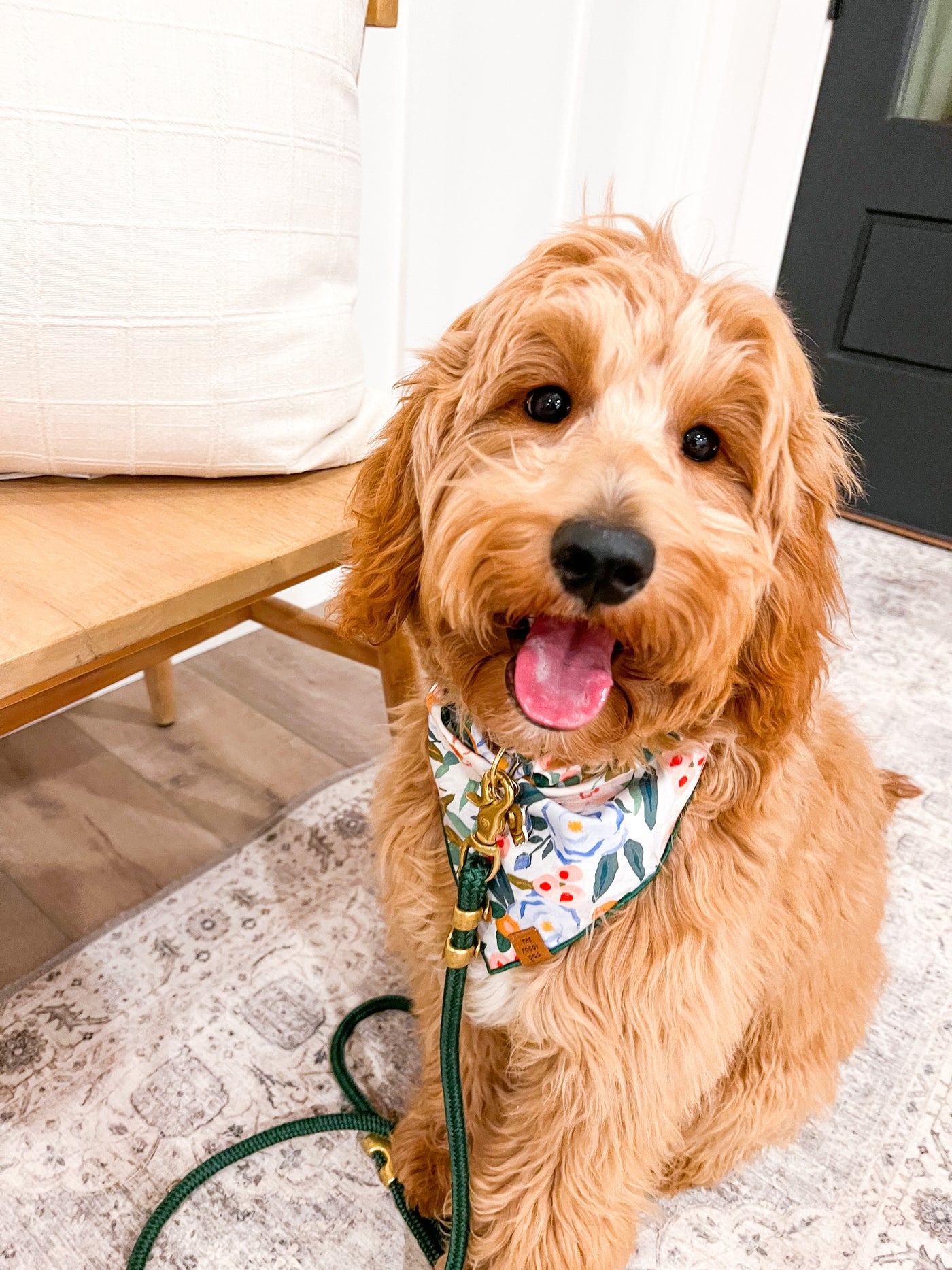 Foggy Dog Bandana