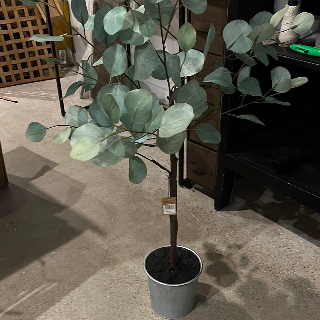 42” Eucalyptus Potted Plant