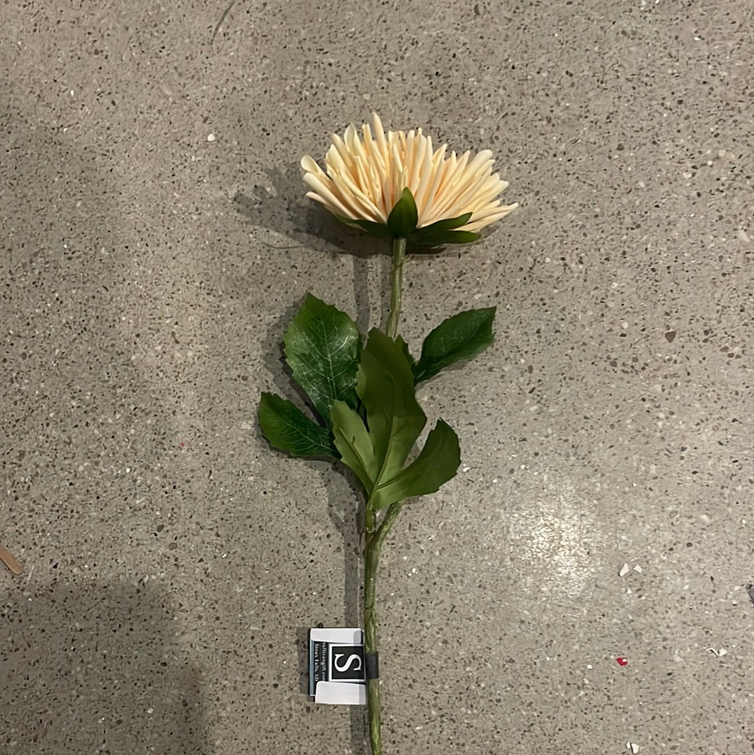 Peach Dahlia Stem