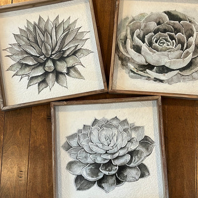 Succulent wall decor