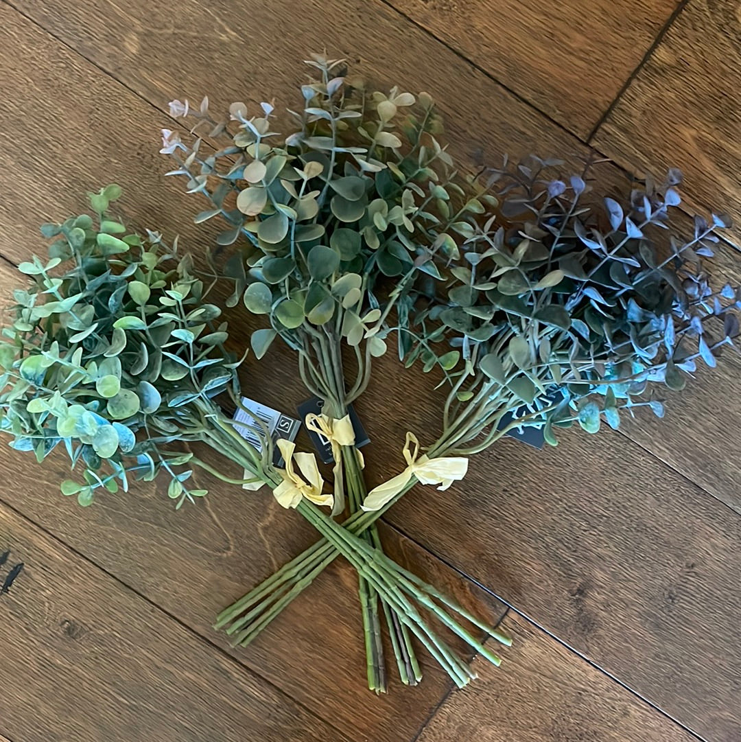Eucalyptus Bundles