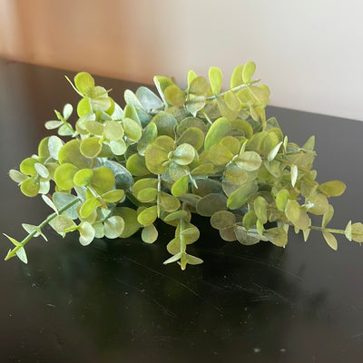 Eucalyptus Bundles